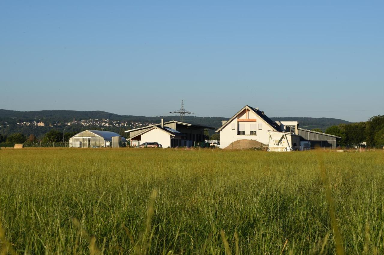 Einladende Ferienwohnung auf Bauernhof in Sinzig Exterior foto