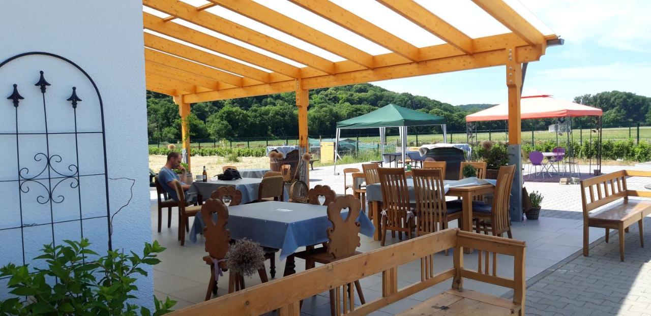 Einladende Ferienwohnung auf Bauernhof in Sinzig Exterior foto